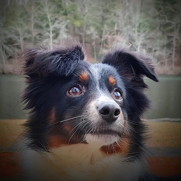 Welcome to my closet! - Picture 6 of 12